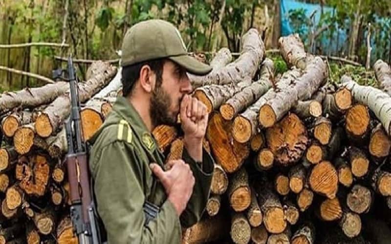Iran’s IRGC destroys Iran’s forests