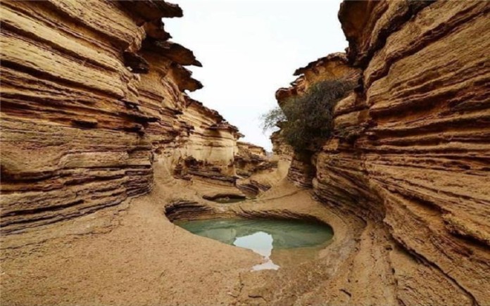 Under the clerical regime’s rule, Iran is facing an unprecedented environmental crisis with diminishing water resources, deforestation, rapid desertification, and air pollution