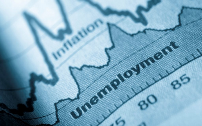 Iran's Employment Report 2023: Discrepancies and Regional Variations