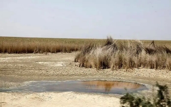Iran's Wetlands Facing Crisis: Environmental Mismanagement and Extreme Heat to Blame