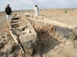 Iran’s Water Collapse: How Decades of Authoritarian Development Drove a Nation to Environmental Ruin