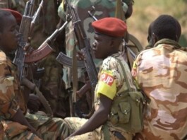 Iran Regime’s Covert Networks in Chad Exposed: A New Chapter in African Destabilization
