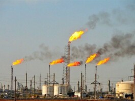 “Good Oil Genes” Scandal: Dollar Salaries and Dubai Properties Amid Iran’s Oil Crisis