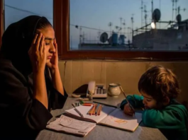 War, Mismanagement, and the Unraveling of Women’s Employment in Iran