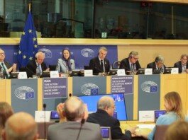 Maryam Rajavi Urges EU to Act Against Executions in Iran, Calls for Recognition of Democratic Alternative