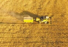 Iran’s Agricultural Crisis Deepens Amid Fertilizer Shortages and Rising Import Dependence Iran’s Agricultural Crisis Deepens Amid Fertilizer Shortages and Rising Import Dependence