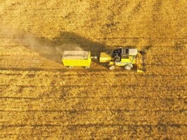 Iran’s Agricultural Crisis Deepens Amid Fertilizer Shortages and Rising Import Dependence Iran’s Agricultural Crisis Deepens Amid Fertilizer Shortages and Rising Import Dependence