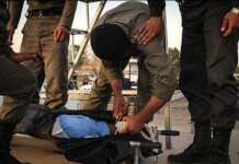Iran’s Regime Escalates Repression: Death Sentences, Executions, and Torture Mark New Phase of Crackdown Iran's Regime Escalates Repression: Death Sentences, Executions, and Torture Mark New Phase of Crackdown