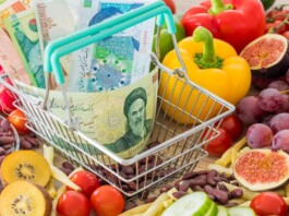 Rising Food Prices Push Iranian Families Deeper Into Economic Hardship
