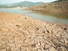 Iran's Water and Electricity Crisis Is No Longer Seasonal—It Is Structural