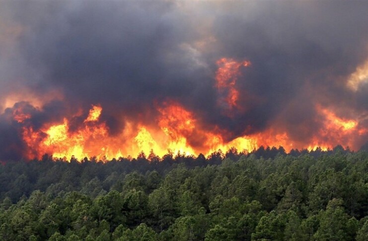 Iran's Forest Fire Crisis: How Mismanagement and Corruption Are Fueling Environmental Destruction