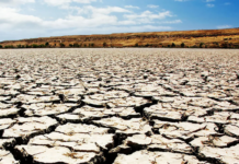 Iran’s Water Crisis Is No Longer a Warning—It Is a Governance Failure Iran’s Water Crisis Is No Longer a Warning—It Is a Governance Failure