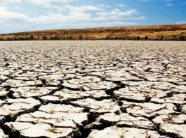 Iran’s Water Crisis Is No Longer a Warning—It Is a Governance Failure