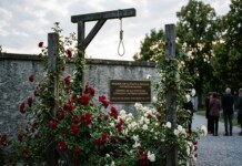 Iran Regime Escalates Executions of Young Protesters as Fear Fails to Silence Society Iran Regime Escalates Executions of Young Protesters as Fear Fails to Silence Society