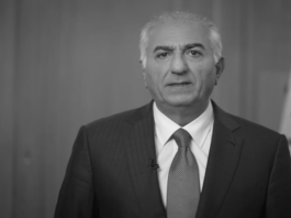 Reza Pahlavi’s Latest Telegram Bot: Trust Us With Your Identity, Security Comes Later